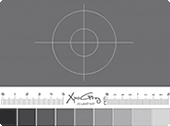 XpoGrey